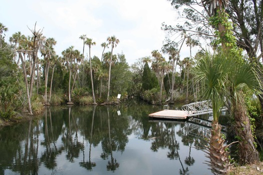 Jenkins Creek Dock