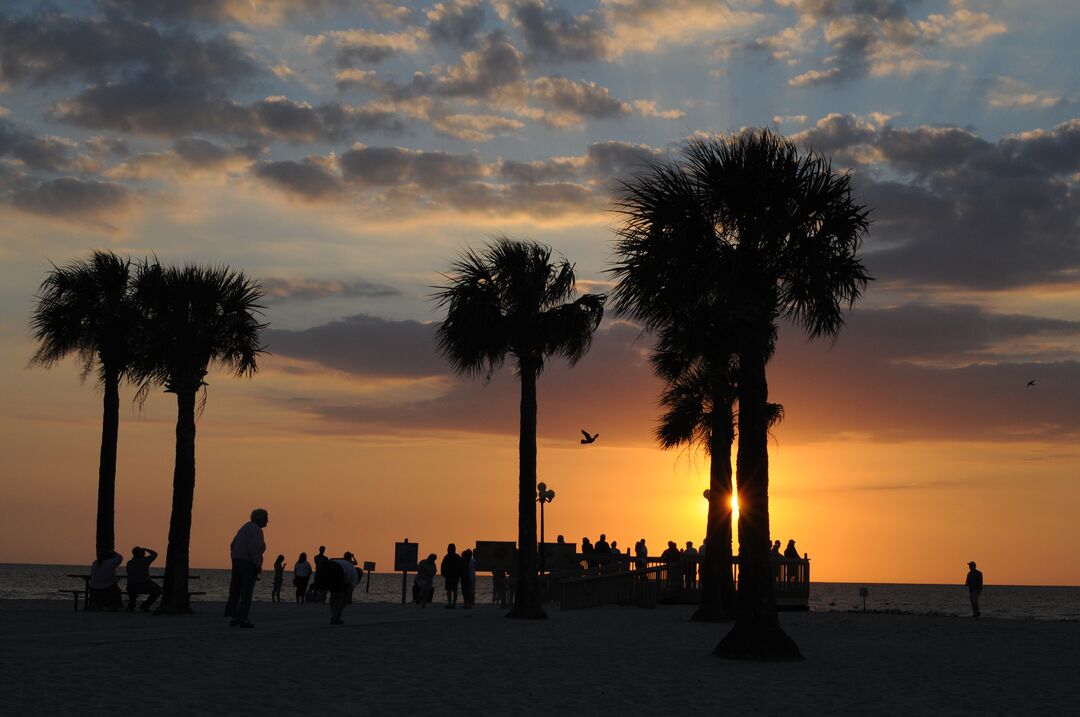 Pine Island Park (14)