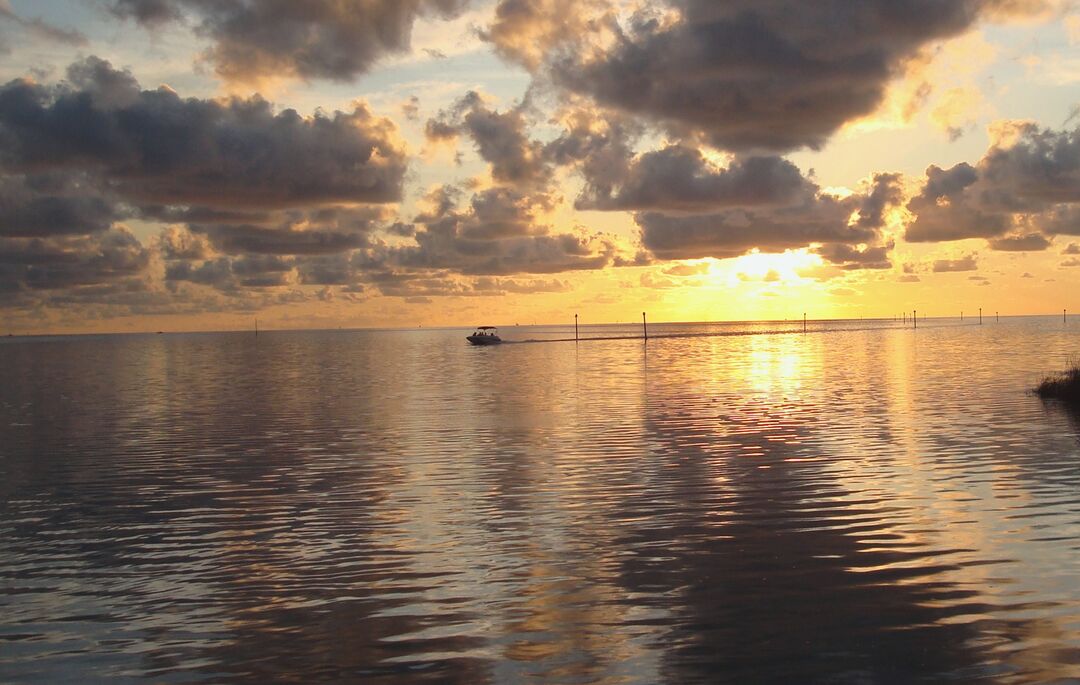 Boat cruising in Bayport  - Copy