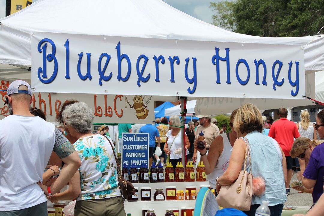 Blueberry Festival 2017