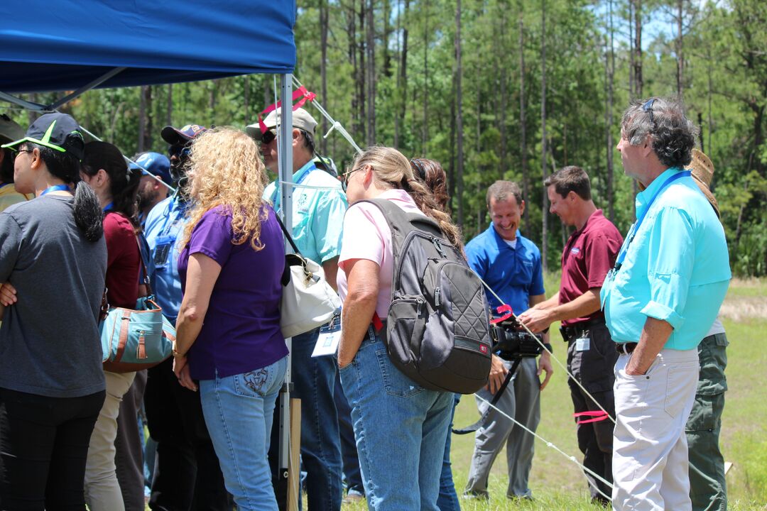 Blueberry Festival 2017