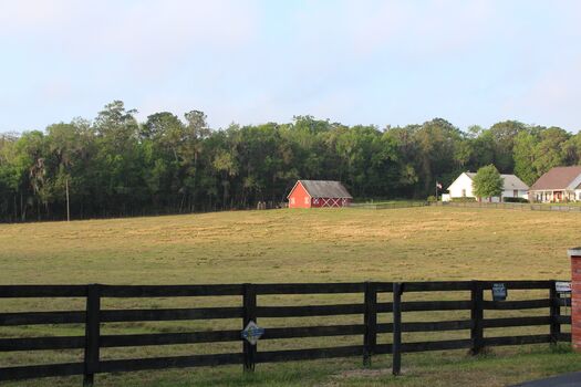 Farm Pasture, Brooksville