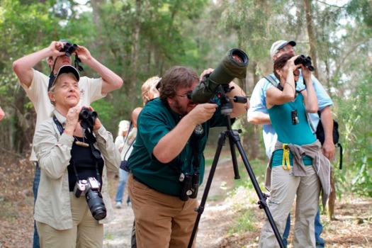 Birdwatchers sm