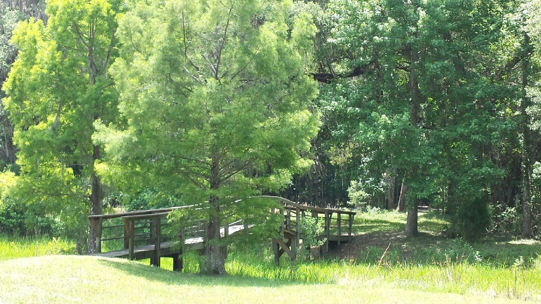 Bridge at Lake McKethan Park, Brooksville