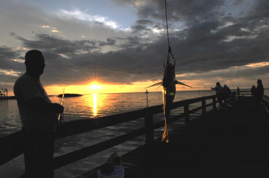 Fish at Pier - sunset shot