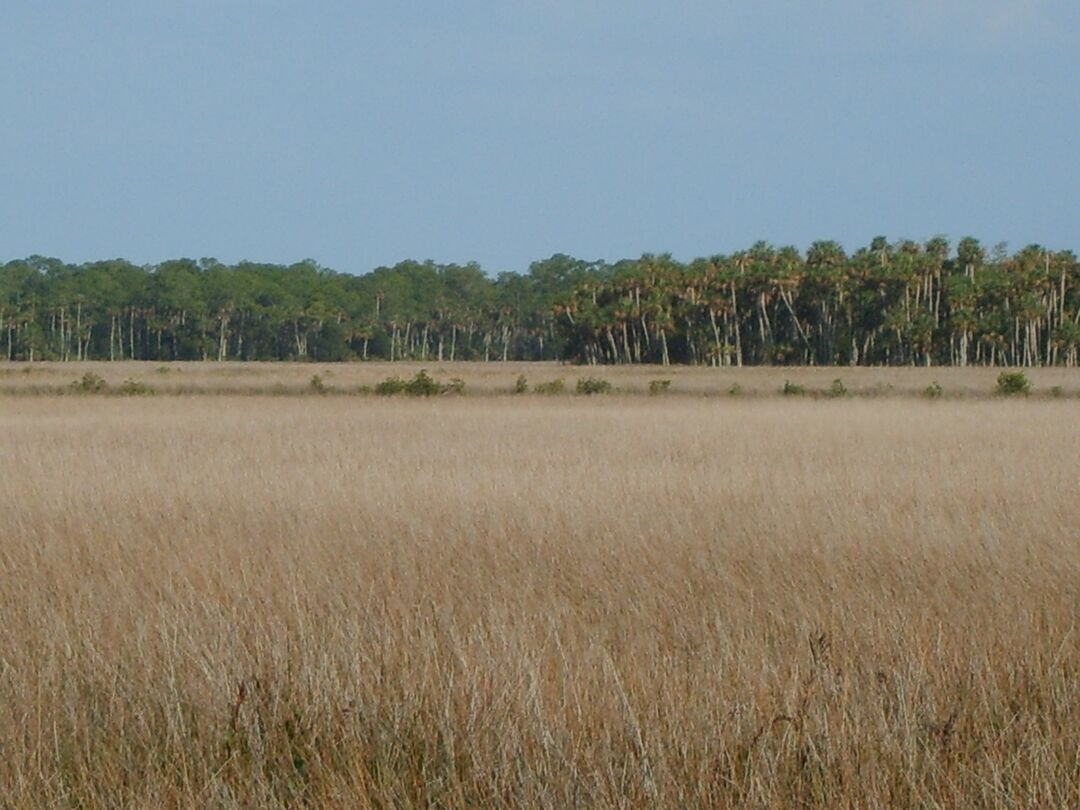 pine island beach homes 017