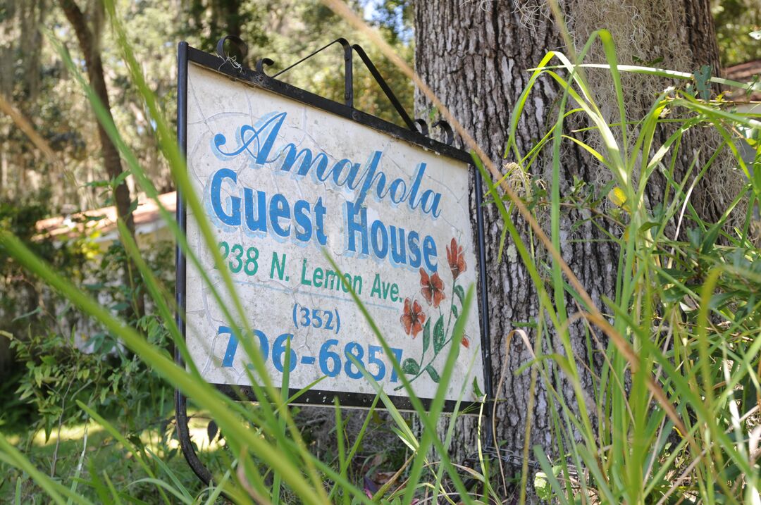 Amapola Guest House (2)