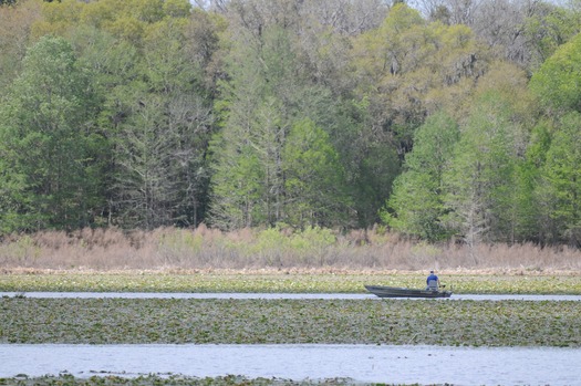 Lake Lindsey (3)