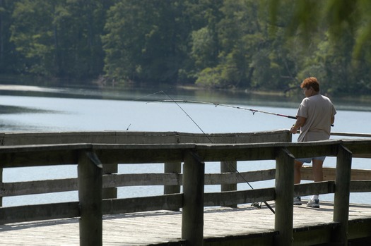 Lake Townsen Park (4)