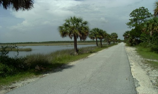 Bayou Drive