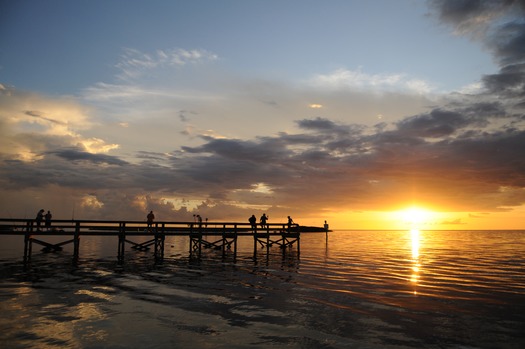 Bayport Fishing at Sunset