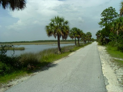 Bayou Drive