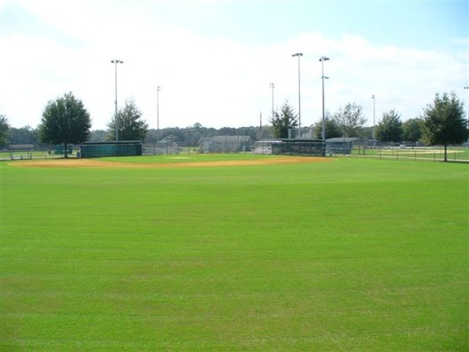 ballfield3