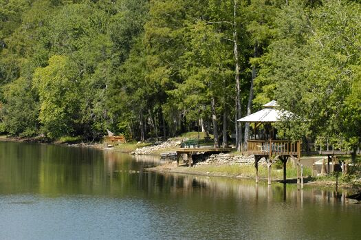 Lake Townsen Preserve, Brooksville