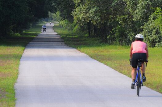 Cyclist, Withlacoochee State Trail, Brooksville