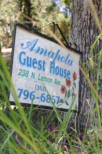 Amapola Guest House (1)