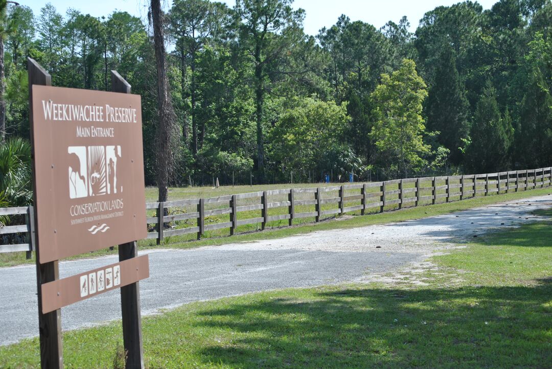 Weeki Wachee Preserve, Spring Hill