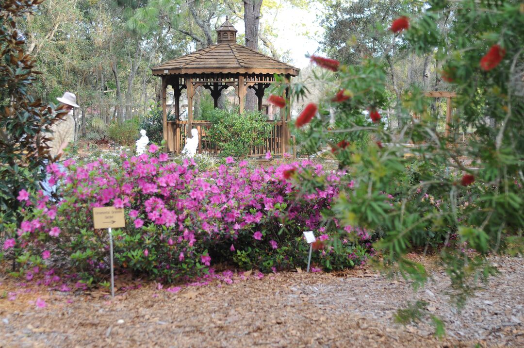 Nature Coast Botanical Gardens, Florida's Adventure Coast