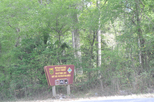 Lake Mckethan Park, Brooksville