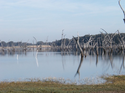 BYSTER LAKE