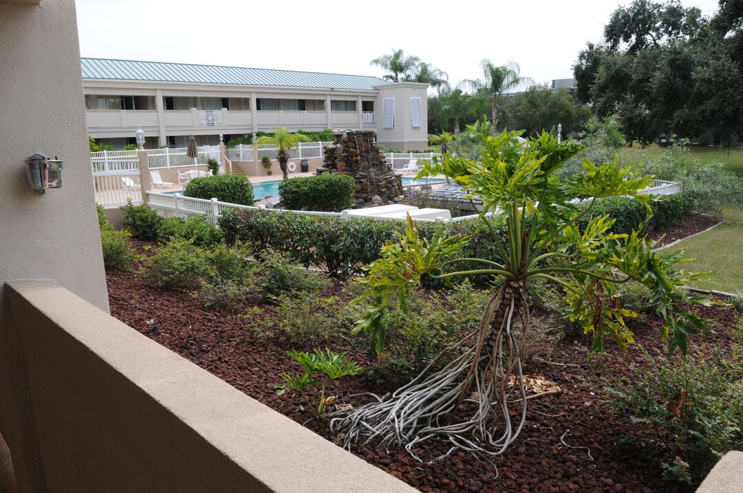Days Inn (16)
