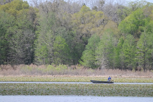 Lake Lindsey (1)