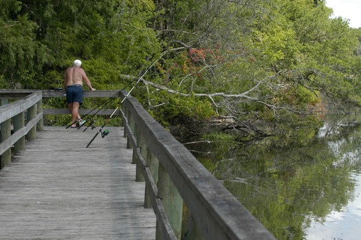 Lake Townsen Park (5)