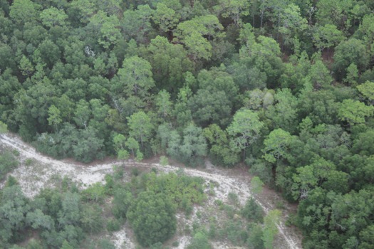 Hernando County Aerial Tour