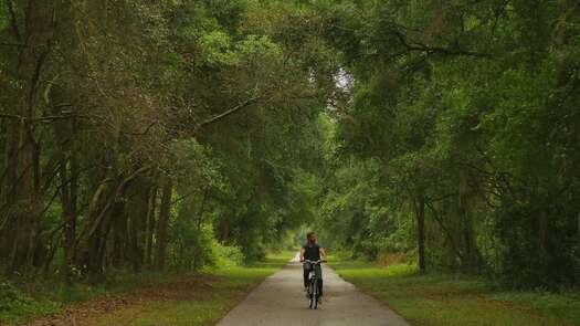 Bicyclist on Withlacoochee State Trail, Florida's Adventure Coast