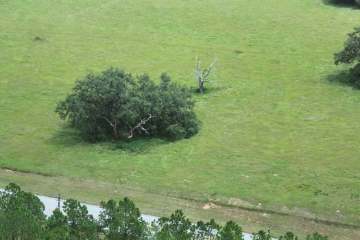 Hernando County Aerial Tour