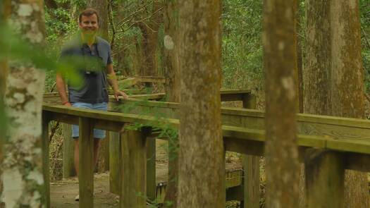 Birdwatcher, Chinsegut Conservation Center, Brooksville