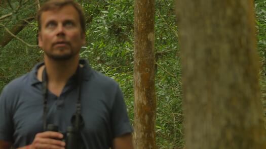 Birdwatcher with Binoculars at Chinsegut Conservation Center, Florida's Adventure Coast
