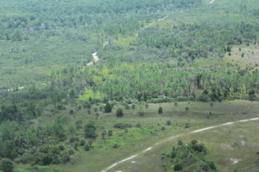 Hernando County Aerial Tour