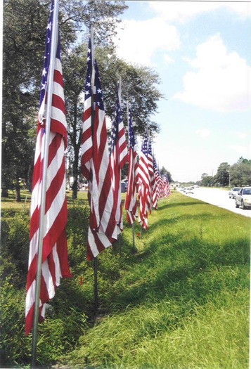 flags on road