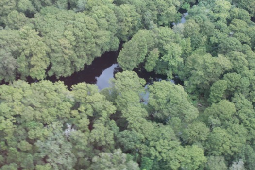 Hernando County Aerial Tour