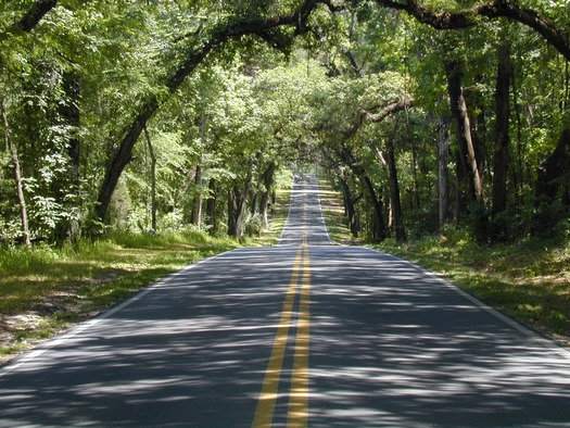 Canopied Roadway