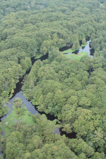 Hernando County Aerial Tour