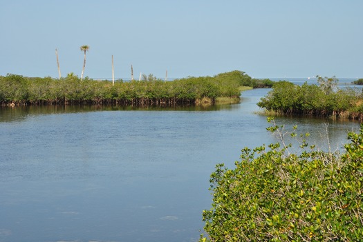 Aripeka toward Gulf (by CKnudson)