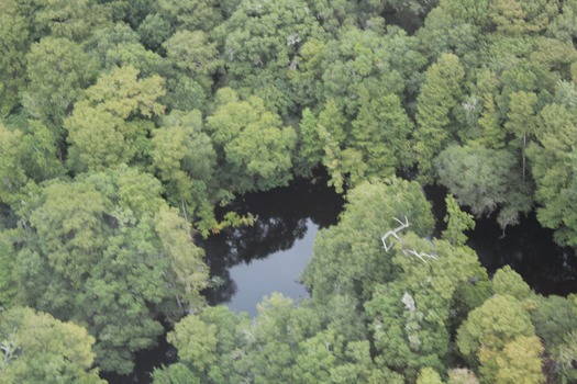 Hernando County Aerial Tour