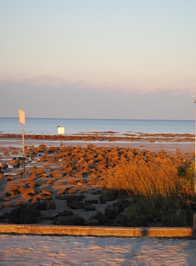 Pine Island at Sunrise - CKnudson