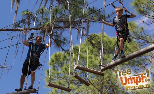 TreeUmph hanging swings