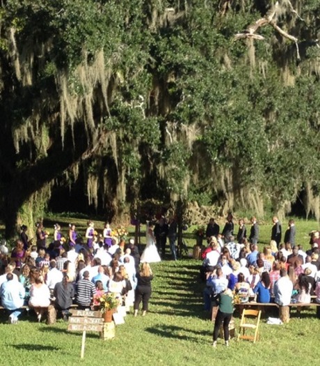 Wedding at Chinsegut Hill