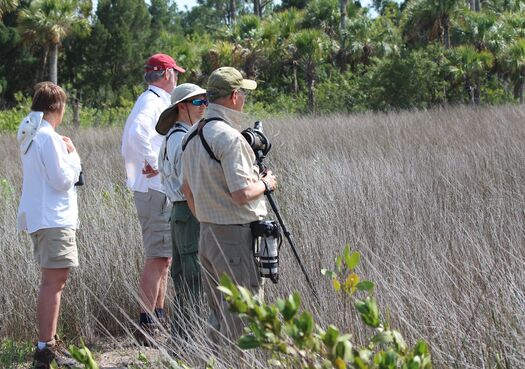 Birdwatchers, Weekiwachee Preserve, Spring Hill