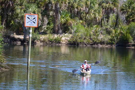 Kayaker on Bayport-Linda Pedersen Paddling Trail (Visitors Bureau)