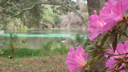 Weeki Wachee Springs State Park