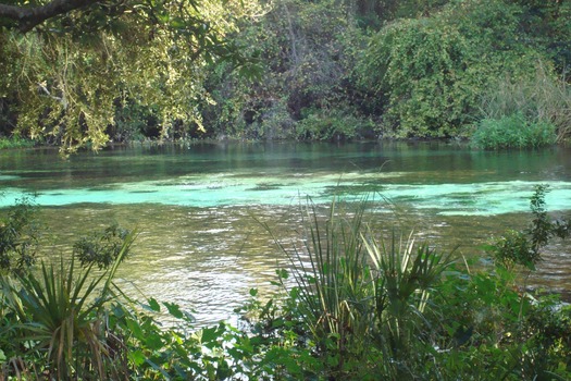 Weeki Wachee Springs State Park