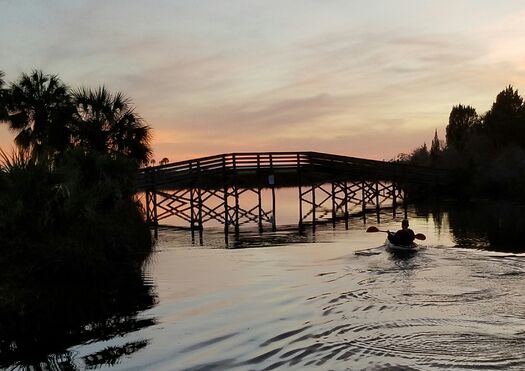 Kayaker, Jenkins Creek, Weeki Wachee