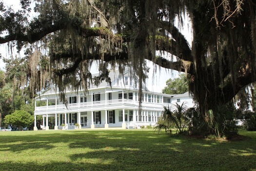 Copy of manor house with oak tree