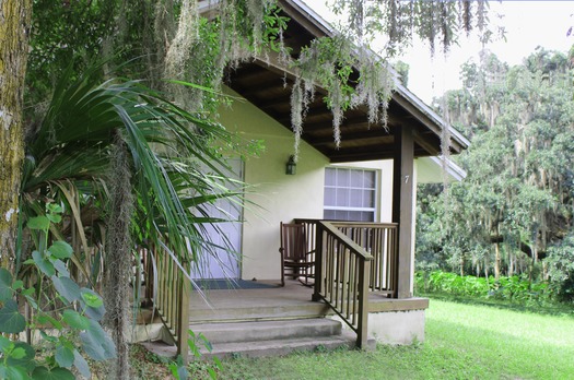 cottage behind trees