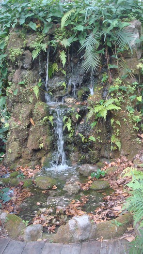 012217-WW Nature Trail - waterfall